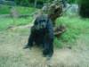 dsc00410_small.jpg