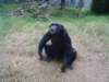 dsc00412_small.jpg