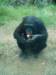 dsc00414_small.jpg