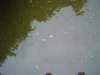 dsc00420_small.jpg