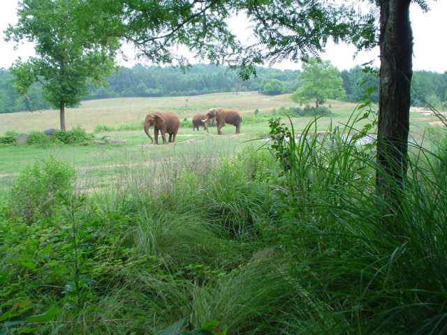 dsc00421.jpg