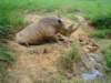 dsc00439_small.jpg