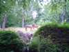 dsc00442_small.jpg