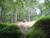dsc00444_small.jpg