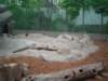 dsc00450_small.jpg