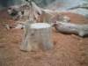 dsc00456_small.jpg
