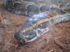 dsc00462_small.jpg
