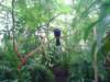 dsc00466_small.jpg