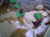 dsc00467_small.jpg