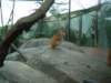 dsc00477_small.jpg