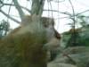 dsc00480_small.jpg