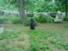dsc00486_small.jpg