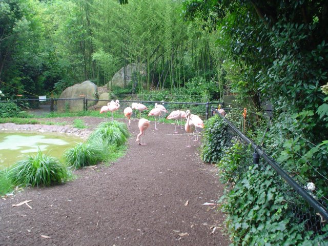 dsc00497.jpg