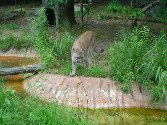 dsc00574.jpg