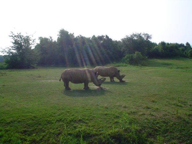 dsc01077.jpg