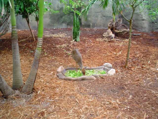 dsc01104.jpg