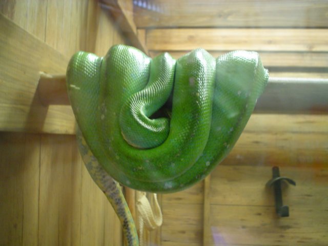 dsc01164.jpg