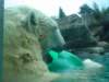 dsc01174_small.jpg