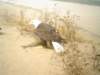dsc09598_small.jpg