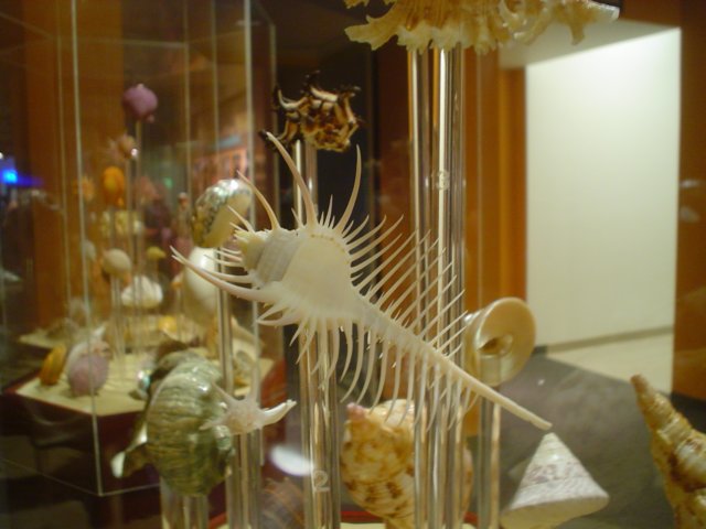 dsc09602.jpg