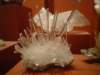 dsc09612_small.jpg