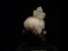 dsc09614_small.jpg