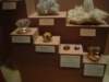 dsc09618_small.jpg