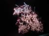 dsc09625_small.jpg