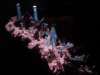 dsc09627_small.jpg