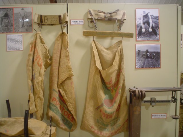dsc08625.jpg