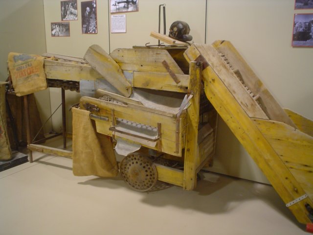 dsc08628.jpg