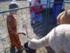 dsc08639_small.jpg