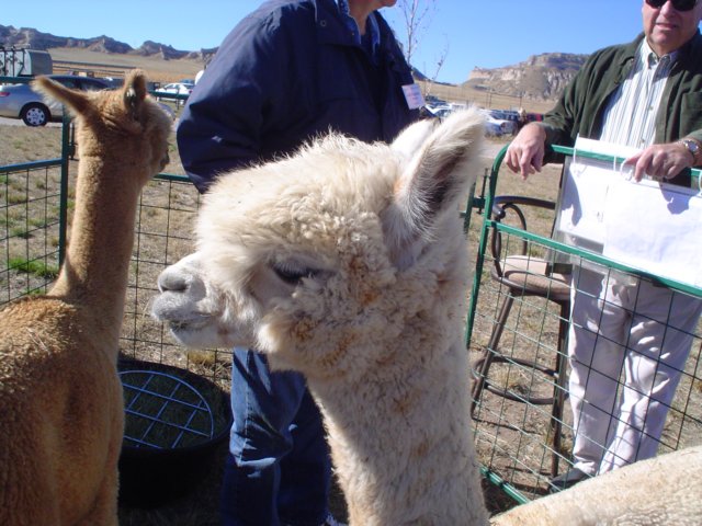 dsc08643.jpg