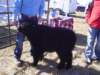 dsc08646_small.jpg