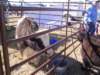 dsc08649_small.jpg