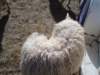 dsc08651_small.jpg