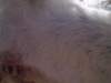 dsc08655_small.jpg