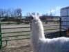 dsc08670_small.jpg