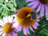 dsc04730_small.jpg