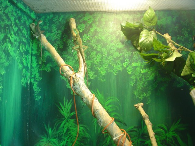 dsc04771.jpg