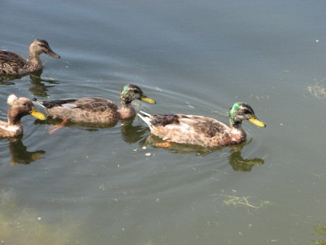 img_3923.jpg