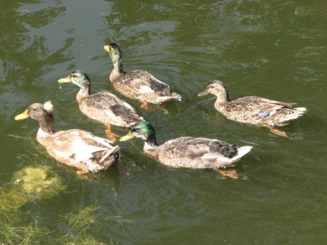 img_3932.jpg