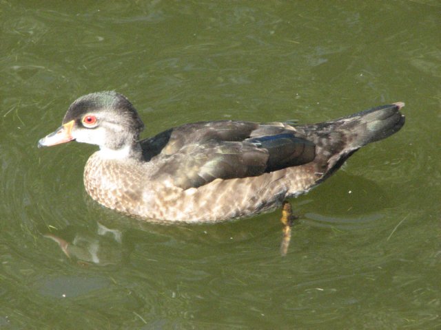 img_3939.jpg
