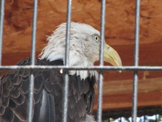 img_4027.jpg