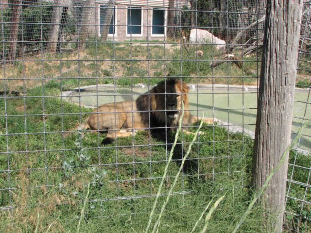 img_4095.jpg