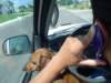 dsc04826_small.jpg