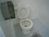 dsc04842_small.jpg