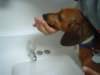 dsc04844_small.jpg