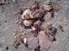 dsc04847_small.jpg