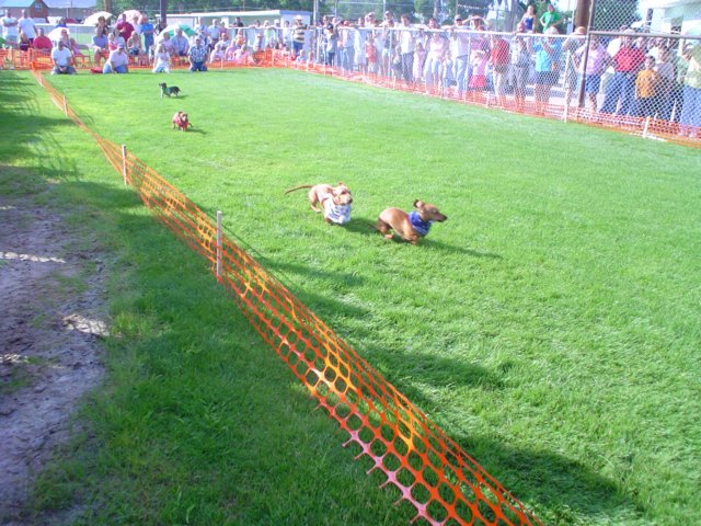 dsc04876.jpg